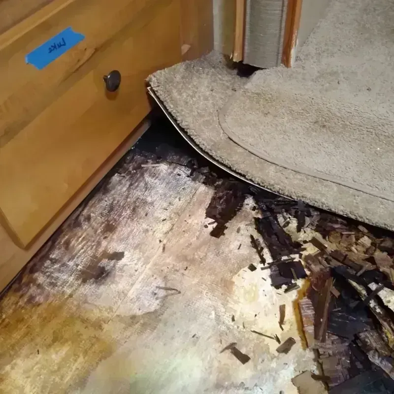 Wood Floor Water Damage in Columbus Grove, OH